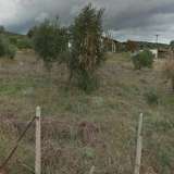  For Sale - (€ 0 / m2), Agricultural 6960 m2 Thasos 8099474 thumb3
