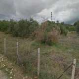  For Sale - (€ 0 / m2), Agricultural 6960 m2 Thasos 8099474 thumb2