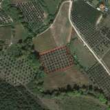  For Sale - (€ 0 / m2), Agricultural 4500 m2 Eleftheres 8099475 thumb8