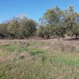  For Sale - (€ 0 / m2), Agricultural 4500 m2 Eleftheres 8099475 thumb2