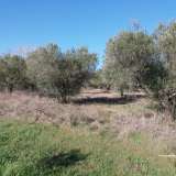  For Sale - (€ 0 / m2), Agricultural 4500 m2 Eleftheres 8099475 thumb0