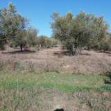  For Sale - (€ 0 / m2), Agricultural 4500 m2 Eleftheres 8099475 thumb3