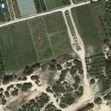  For Sale - (€ 0 / m2), Agricultural 3160 m2 Eleftheres 8099477 thumb1