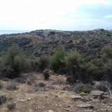  For Sale - (€ 0 / m2), Agricultural 17000 m2 Thasos 8099478 thumb4