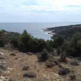  For Sale - (€ 0 / m2), Agricultural 17000 m2 Thasos 8099478 thumb0