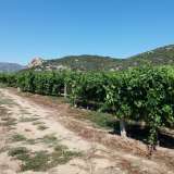  For Sale - (€ 0 / m2), Agricultural 5500 m2 Eleftheres 8099480 thumb4