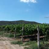  For Sale - (€ 0 / m2), Agricultural 5500 m2 Eleftheres 8099480 thumb0