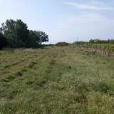  For Sale - (€ 0 / m2), Agricultural 2600 m2 Eleftheres 8099481 thumb6
