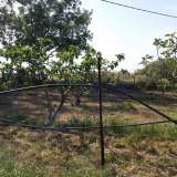  For Sale - (€ 0 / m2), Agricultural 2600 m2 Eleftheres 8099481 thumb0