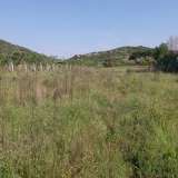  For Sale - (€ 0 / m2), Agricultural 2600 m2 Eleftheres 8099481 thumb7