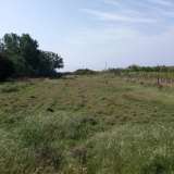  Verkauf - (€ 0 / m2), Agricultural 2600 m2 Eleitheres 8099481 thumb3