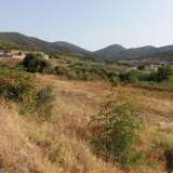  For Sale - (€ 0 / m2), Agricultural 4325 m2 Eleftheres 8099482 thumb6