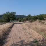  For Sale - (€ 0 / m2), Agricultural 4325 m2 Eleftheres 8099482 thumb3
