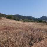  For Sale - (€ 0 / m2), Agricultural 4325 m2 Eleftheres 8099482 thumb0