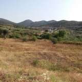  For Sale - (€ 0 / m2), Agricultural 4325 m2 Eleftheres 8099482 thumb8