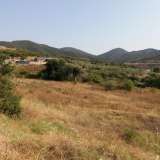  For Sale - (€ 0 / m2), Agricultural 4325 m2 Eleftheres 8099482 thumb9