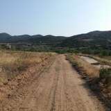 For Sale - (€ 0 / m2), Agricultural 4325 m2 Eleftheres 8099482 thumb2