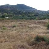  For Sale - (€ 0 / m2), Agricultural 4325 m2 Eleftheres 8099482 thumb7