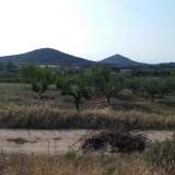  For Sale - (€ 0 / m2), Agricultural 4325 m2 Eleftheres 8099482 thumb4
