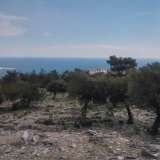  For Sale - (€ 0 / m2), Agricultural 22000 m2 Thasos 8099483 thumb5