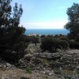 For Sale - (€ 0 / m2), Agricultural 22000 m2 Thasos 8099483 thumb2