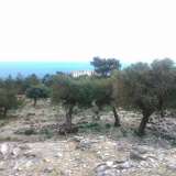  For Sale - (€ 0 / m2), Agricultural 22000 m2 Thasos 8099483 thumb7
