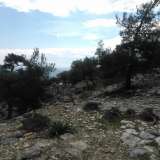  For Sale - (€ 0 / m2), Agricultural 22000 m2 Thasos 8099483 thumb1