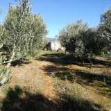 For Sale - (€ 0 / m2), Agricultural 8500 m2 Chrisoupoli 8099499 thumb8