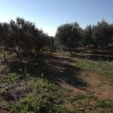  For Sale - (€ 0 / m2), Agricultural 8500 m2 Chrisoupoli 8099499 thumb5