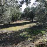  For Sale - (€ 0 / m2), Agricultural 8500 m2 Chrisoupoli 8099499 thumb0