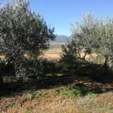  For Sale - (€ 0 / m2), Agricultural 8500 m2 Chrisoupoli 8099499 thumb9
