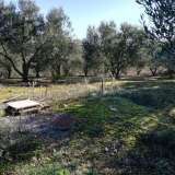  For Sale - (€ 0 / m2), Agricultural 8500 m2 Chrisoupoli 8099499 thumb7