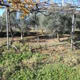  For Sale - (€ 0 / m2), Agricultural 8500 m2 Chrisoupoli 8099499 thumb2