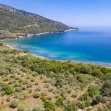  For Sale - (€ 0 / m2), Agricultural 7981 m2 Thasos 8099050 thumb8