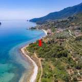  For Sale - (€ 0 / m2), Agricultural 7981 m2 Thasos 8099050 thumb0