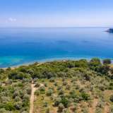  For Sale - (€ 0 / m2), Agricultural 7981 m2 Thasos 8099050 thumb7
