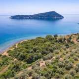  For Sale - (€ 0 / m2), Agricultural 7981 m2 Thasos 8099050 thumb5