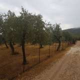  For Sale - (€ 0 / m2), Agricultural 4800 m2 Thasos 8099504 thumb2