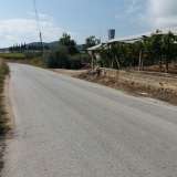  For Sale - (€ 0 / m2), Agricultural 4085 m2 Eleftheres 8099534 thumb8