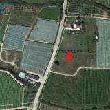  For Sale - (€ 0 / m2), Agricultural 4085 m2 Eleftheres 8099534 thumb1
