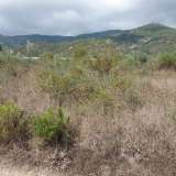  For Sale - (€ 0 / m2), Agricultural 4085 m2 Eleftheres 8099534 thumb4