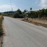  For Sale - (€ 0 / m2), Agricultural 4085 m2 Eleftheres 8099534 thumb7