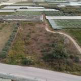 For Sale - (€ 0 / m2), Agricultural 4085 m2 Eleftheres 8099534 thumb0