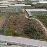  For Sale - (€ 0 / m2), Agricultural 4085 m2 Eleftheres 8099534 thumb3