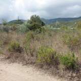  For Sale - (€ 0 / m2), Agricultural 4085 m2 Eleftheres 8099534 thumb5