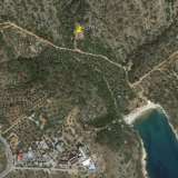  For Sale - (€ 0 / m2), Agricultural 4666 m2 Thasos 8099536 thumb4