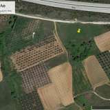  For Sale - (€ 0 / m2), Agricultural 4400 m2 Chrisoupoli 8099542 thumb2