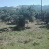  For Sale - (€ 0 / m2), Agricultural 1249 m2 Thasos 8099543 thumb1