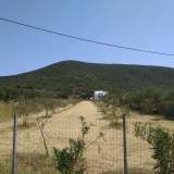 For Sale - (€ 0 / m2), Agricultural 2700 m2 Eleftheres 8099552 thumb2