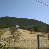  For Sale - (€ 0 / m2), Agricultural 2700 m2 Eleftheres 8099552 thumb0